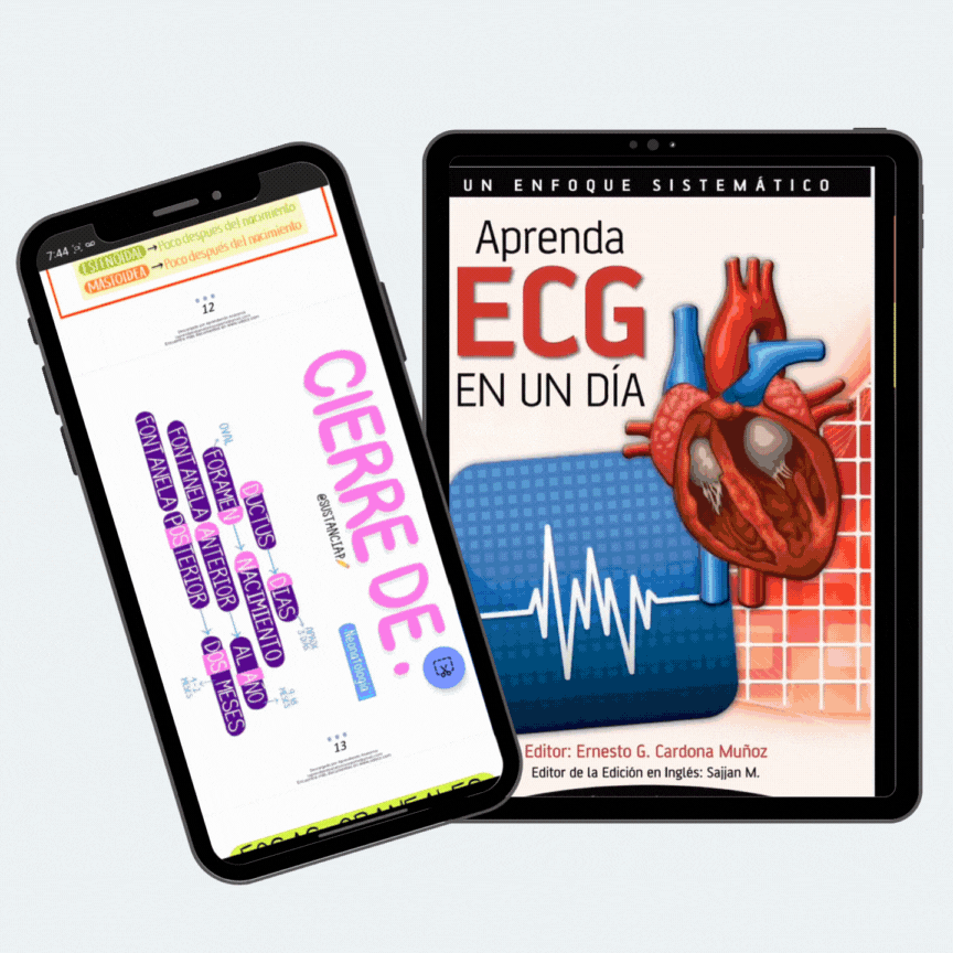 MEGA COLECCIÓN - Domina la Anatomía en Tiempo Récord (200 PDF)